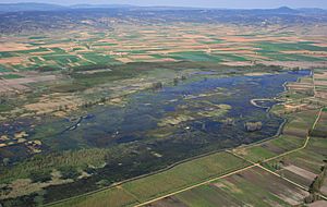 Archivo:Vista aérea general de la laguna del Cañizar
