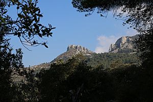 Archivo:Vista del castillo de Alfofra desde Confrides