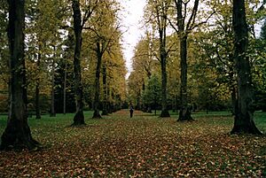 Archivo:Westonbirt Arboretum 2