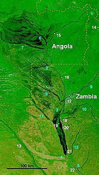 Archivo:Zambezi Barotse floodplain