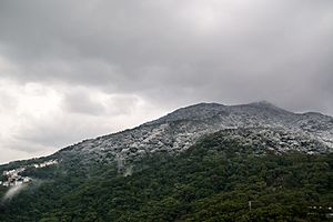 Archivo:20160124大屯山下雪-2