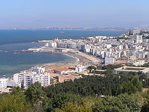 Archivo:Algiers coast