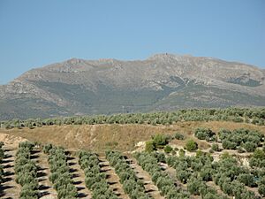 Archivo:Aznaitín desde Mancha Real
