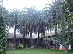 Archivo:Casas Santa Teresa de Quiahue