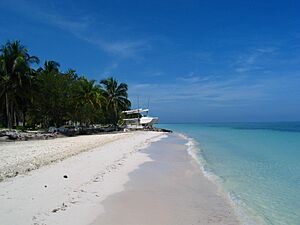 Archivo:Cayo Levisa in 2013