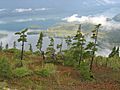Chugach2