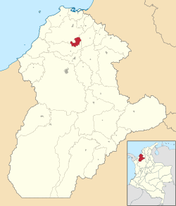 Cotorra ubicada en Córdoba (Colombia)
