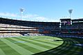 Cricket World Cup Final (16351625604)