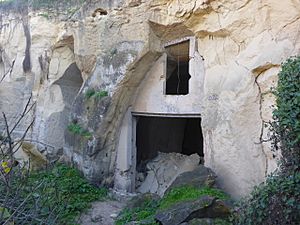 Archivo:Cuevas de San Cristóbal - P1510844