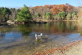 Eagle Pond, Callahan State Park, Framingham MA.jpg