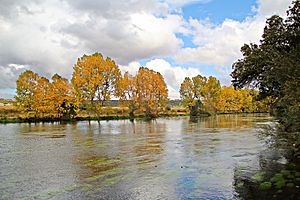 Archivo:El río Tormes en Éjeme