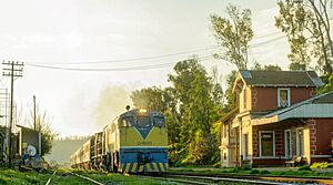 Archivo:Estación Puangue (36683005942)