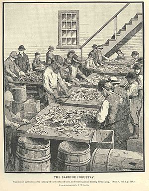 Archivo:FMIB 35812 Sardine Industry