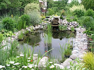 Archivo:Garden pond 1