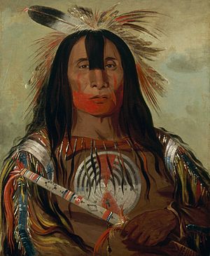 Archivo:George Catlin - Buffalo Bulls Back Fat - Smithsonian