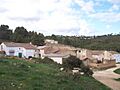 HoyaRedonda