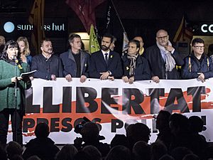 Archivo:Il·lumina la llibertat (39665773384) (cropped2)