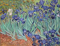 Archivo:Irises by Vincent Van Gogh in GettyCenter
