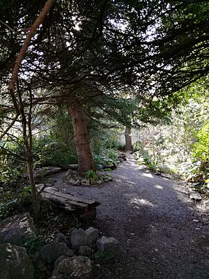 Archivo:Jardin-monasterioLluc-mallorca