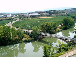 Archivo:La Puebla de Labarca - Puente sobre el Ebro 1