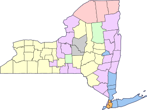 Archivo:Largest ancestry of each New York county (en)