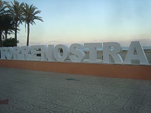 Archivo:Logo de Torrenostra en letras corpóreas