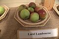 Lord Lambourne