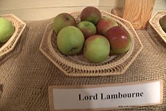 Lord Lambourne.jpg