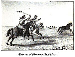 Archivo:Method of throwing the Bolas