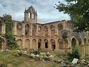 Archivo:Monasterio de Rioseco (Valle de Manzanedo) (1)