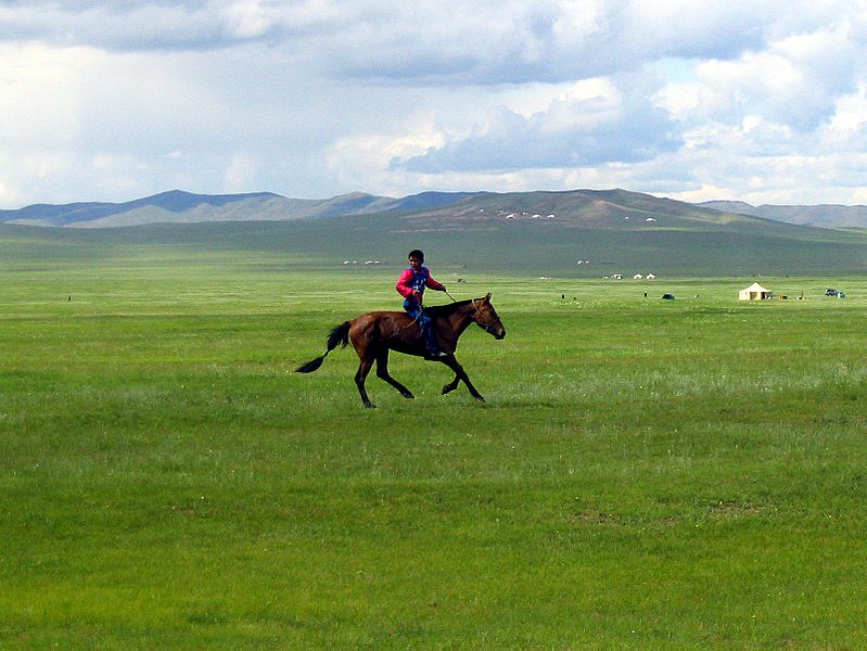 Naadam rider 2