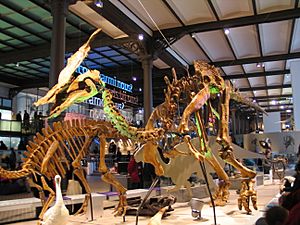 Archivo:Olorotitan 28-12-2007 14-52-33