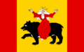 POL Tomaszów Mazowiecki flag