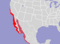 Panulirus interruptus distribution