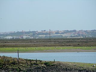 Paraje Natural marismas de Isla Cristina.JPG