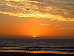 Peñuelas, Coquimbo - Flickr - pilitopretop!.jpg