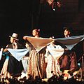 Pericón nacional