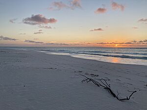 Archivo:Plage Grande Glorieuse