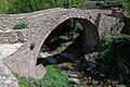 Puente-Robres del Castillo-20113