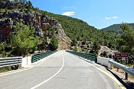SantacruzMoya-puenteTuria (2018)6747