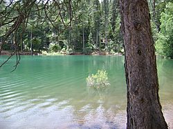Sly Park, Pollock Pines, Calif. - panoramio - UncleVinny (3).jpg