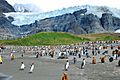South Georgia Photo by Sascha Grabow