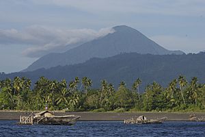 Archivo:Tangkoko National Park, North Sulawesi, Indonesia