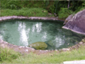 Termales Vereda La Yuca
