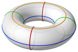Archivo:Tesseract torus