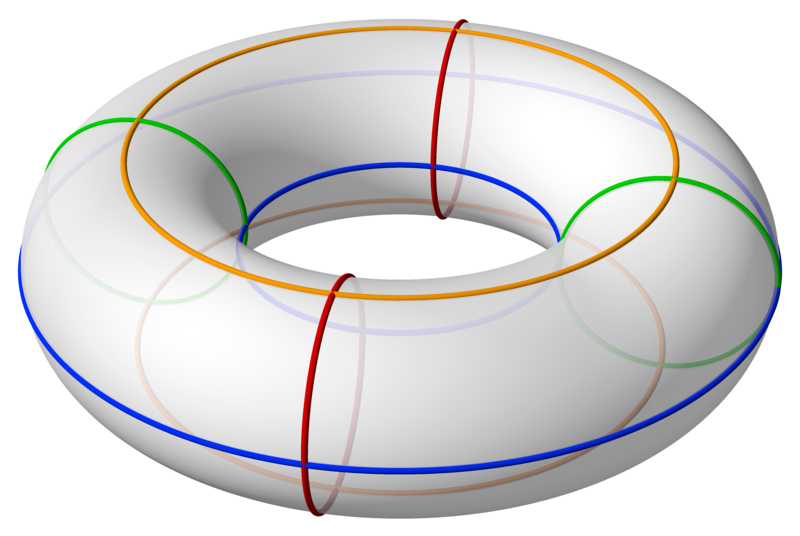 Tesseract torus