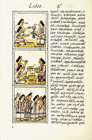 Archivo:The Florentine Codex- Life in Mesoamerica IVf