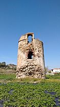 Torre manganeta (2)