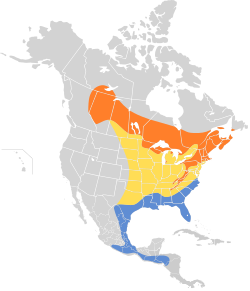 Distribución geográfica del vireo