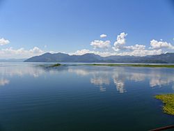 Yojoa Lake.jpg